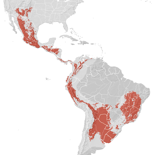 Mappa di distribuzione