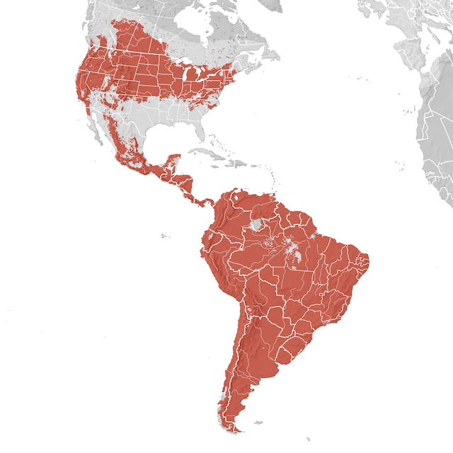 Carte de distribution