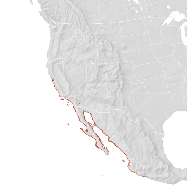 Mapa de distribuição