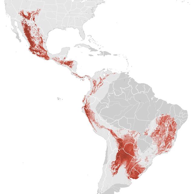 Mapa de Abundância