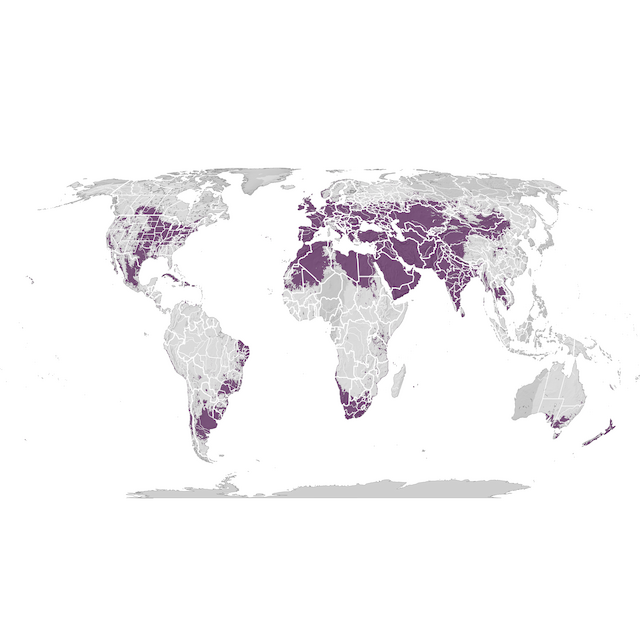 Carte de distribution