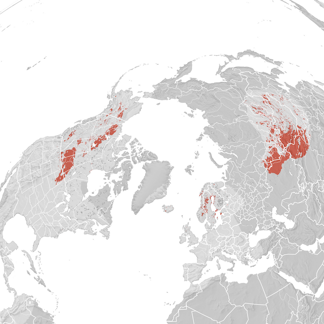 Mappa di distribuzione