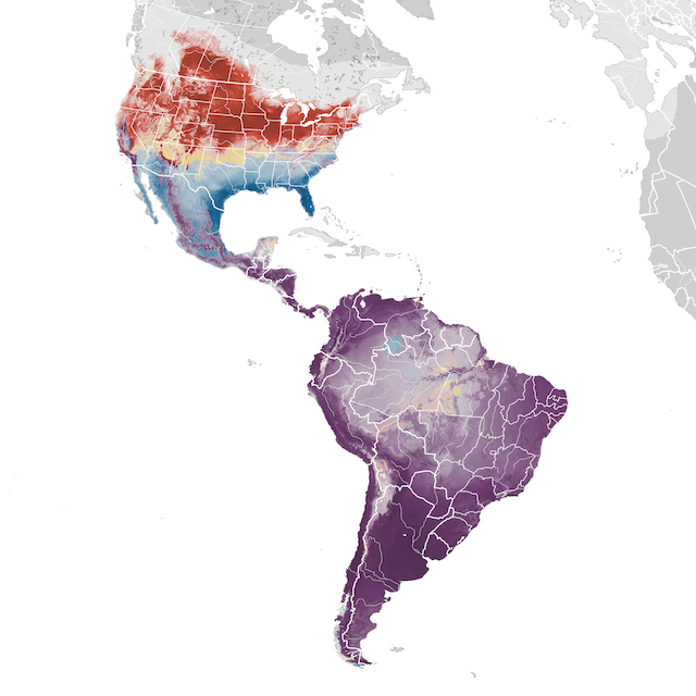 Abundance Map