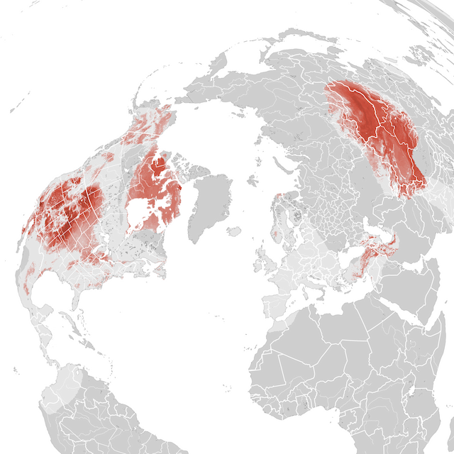 Abundance Map