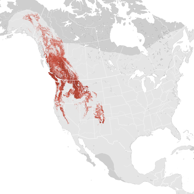 Abundance Map