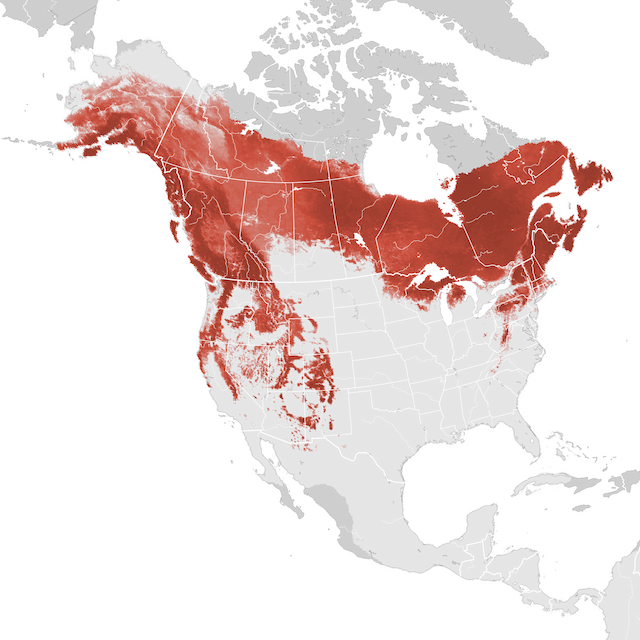 Abundance Map