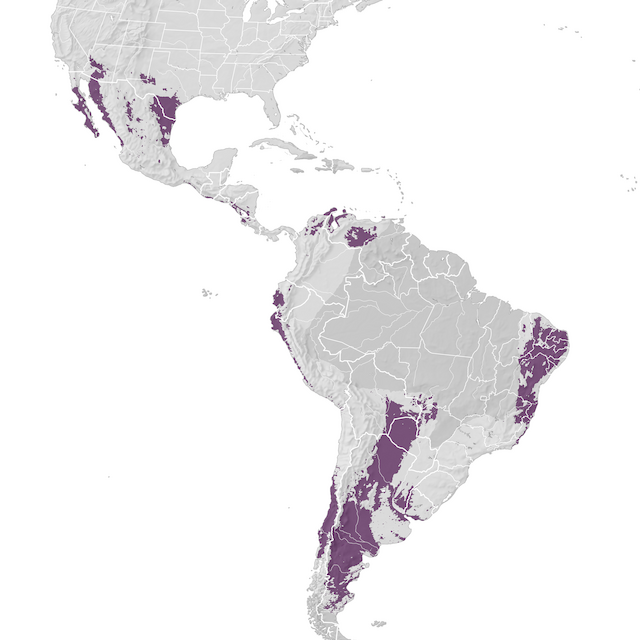 Mapa de distribuição