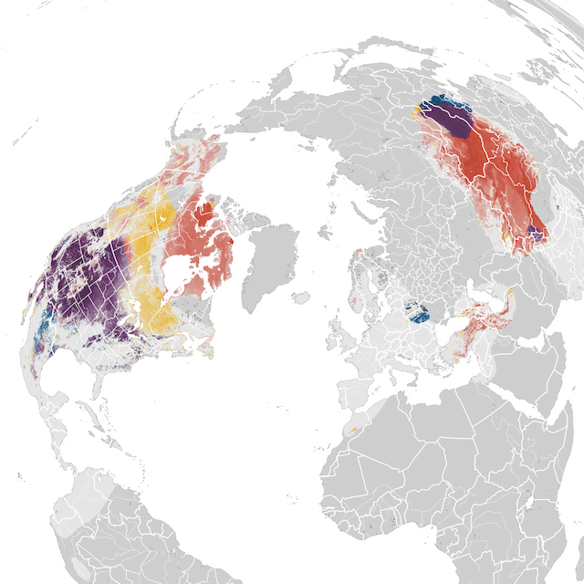 Mapa abundance