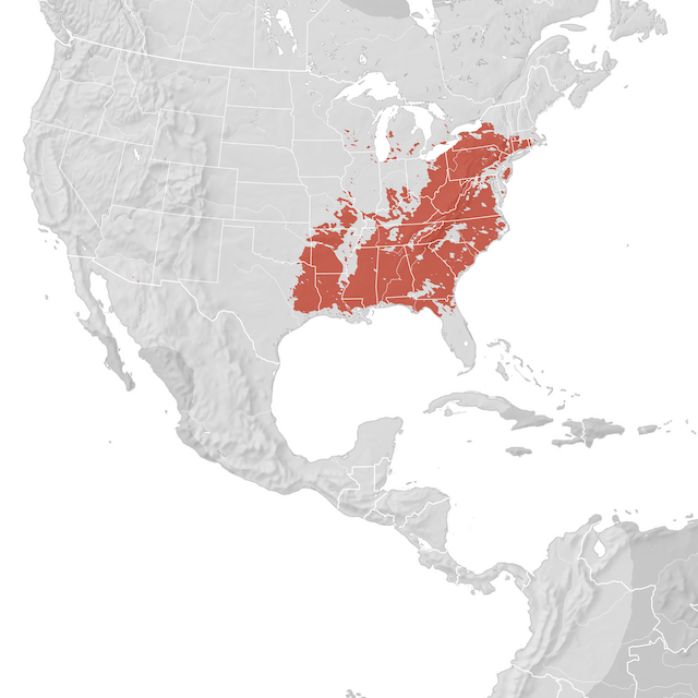 Carte de distribution