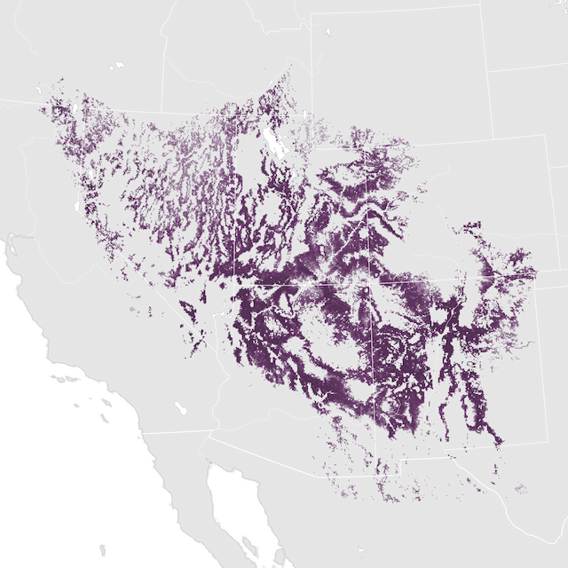 Abundance Map