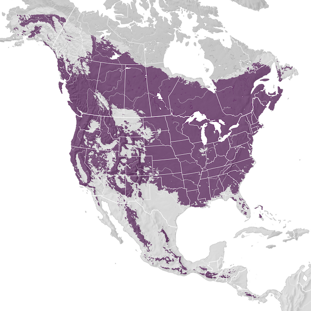 Mappa di distribuzione