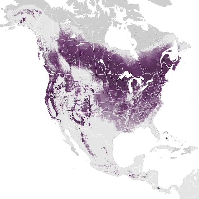 Mapa de abundancia