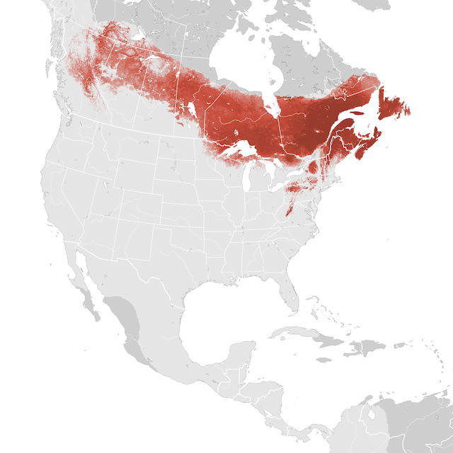 Abundance Map