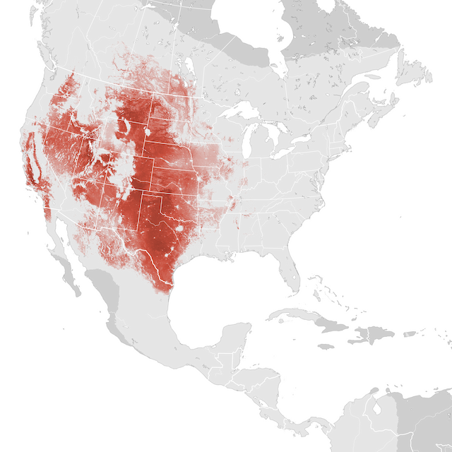 Mapa de Abundância