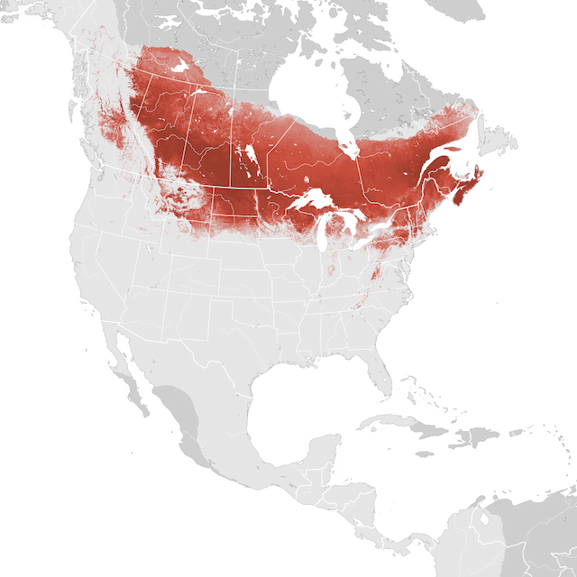 Mapa de Abundância