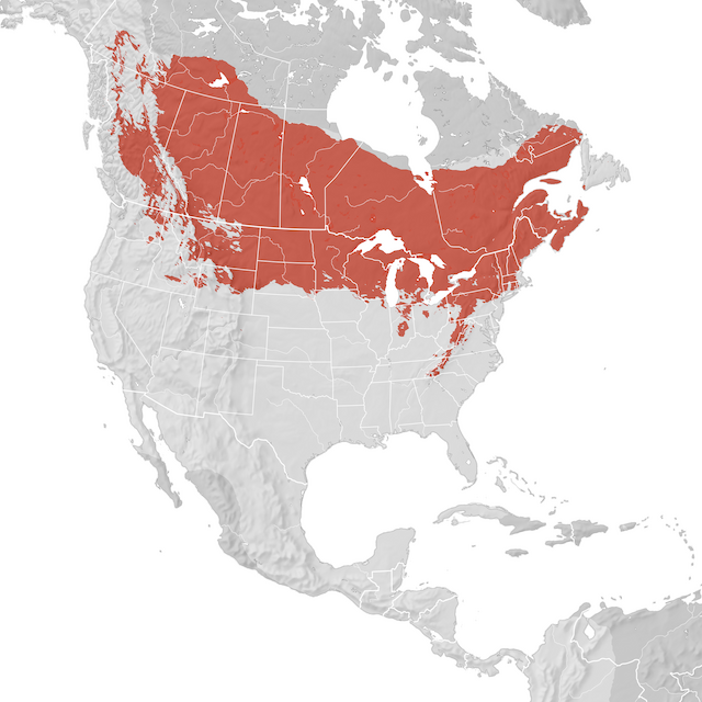 Range Map