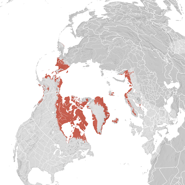 Mappa di distribuzione