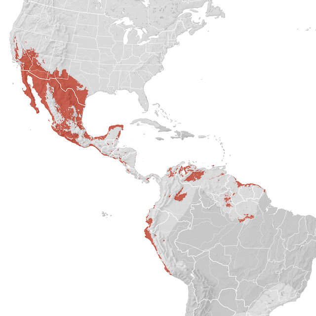 Mapa de distribuição