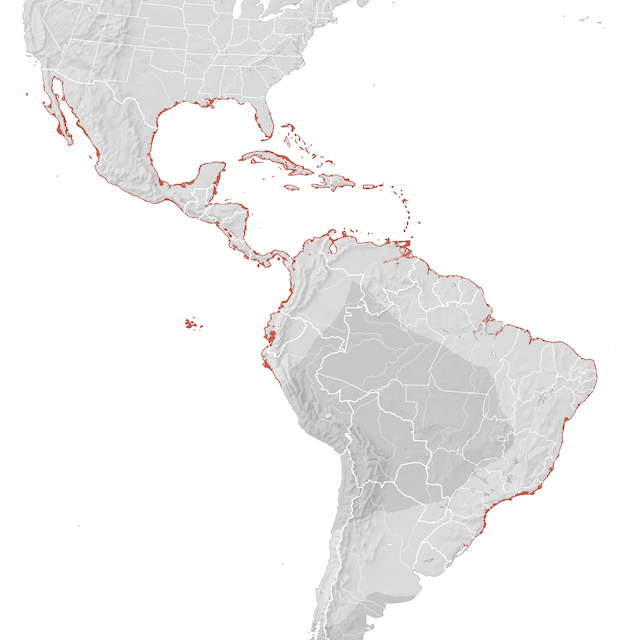 Mapa de Distribuição