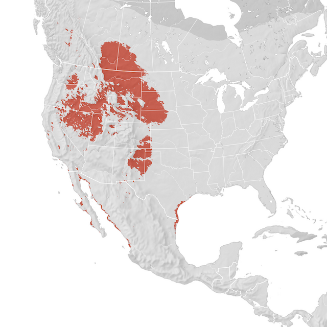 Mappa di distribuzione