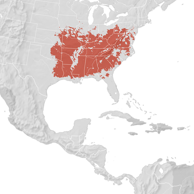 Carte de distribution