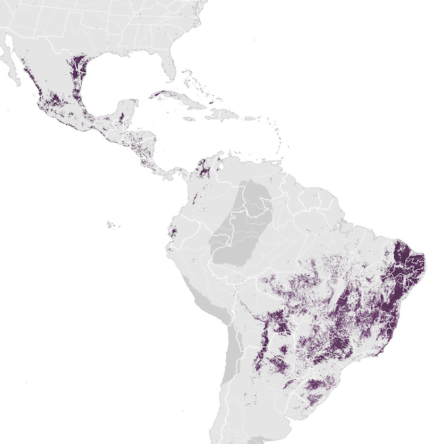 Abundance Map