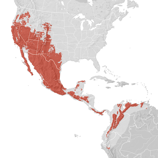 Mapa de Distribuição