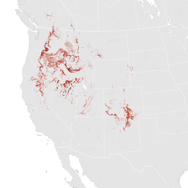 Abundance Map