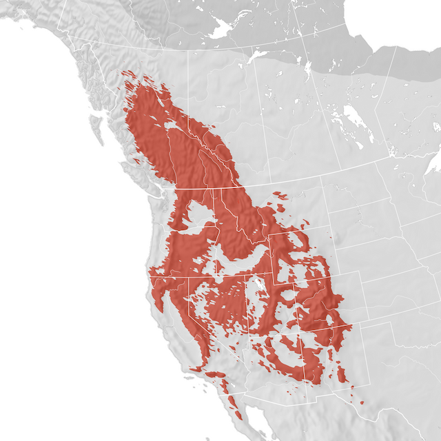 Range Map