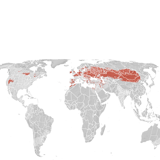 Mapa rozšíření