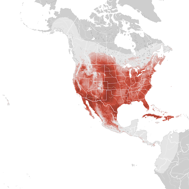 Abundance Map