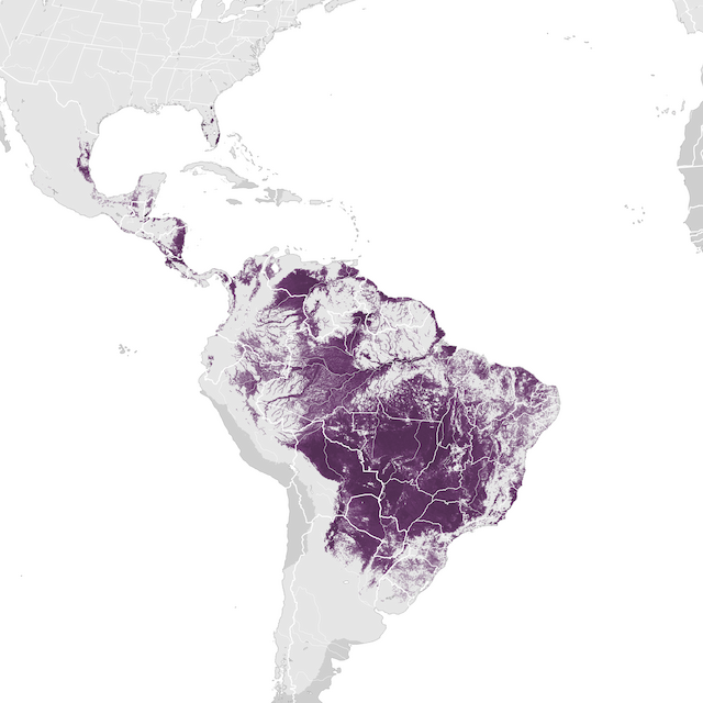 Abundance Map