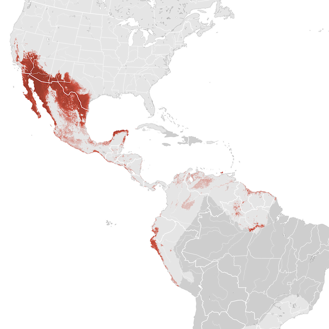 Mapa de abundancia