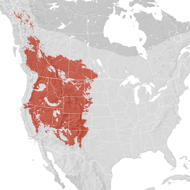 Range Map