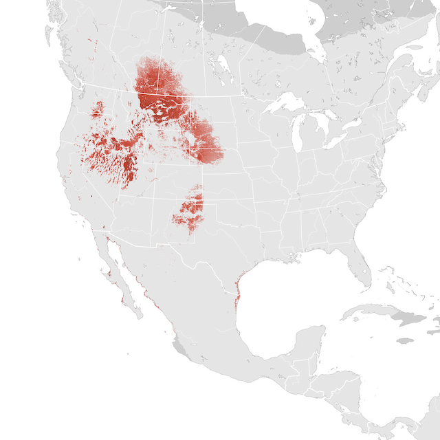 Abundance Map