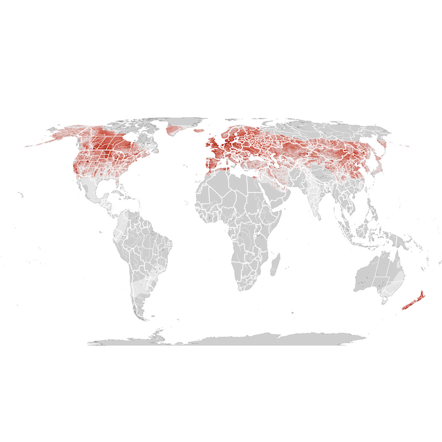 Abundance Map