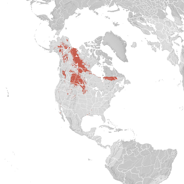 Mapa de distribuição