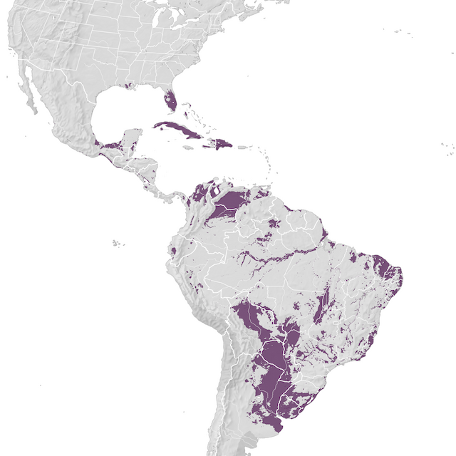 Range Map