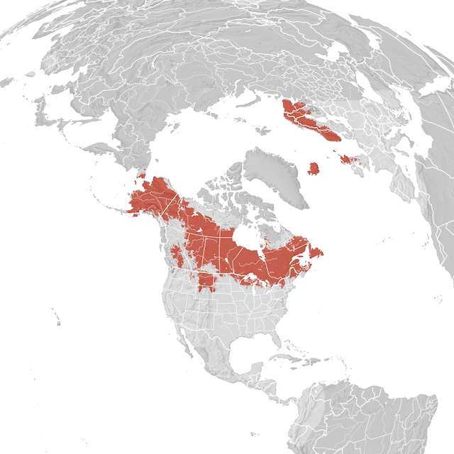 Carte de distribution