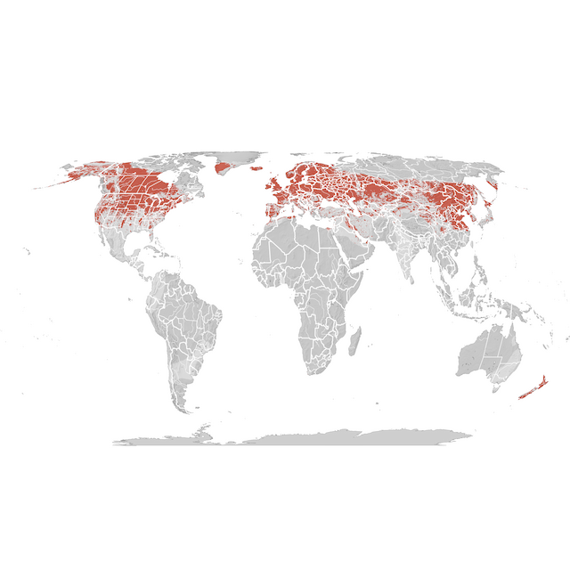 Mapa de Distribuição