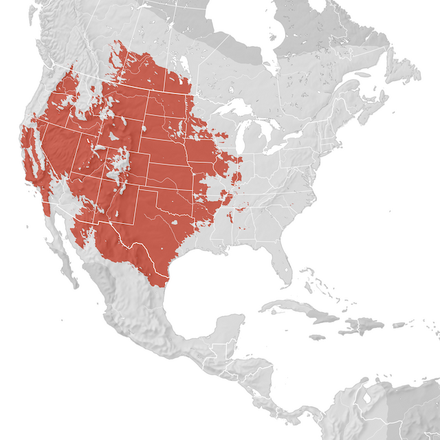 Range Map