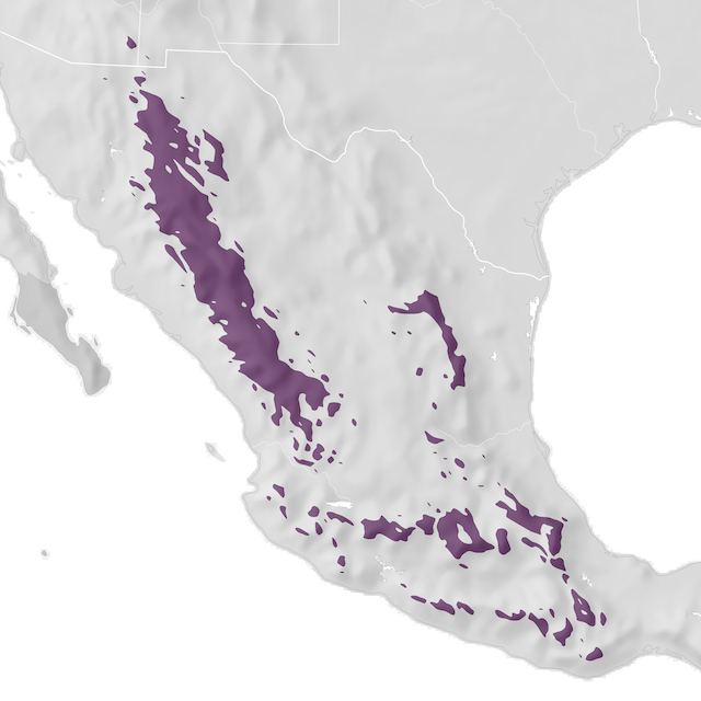 Mappa di distribuzione