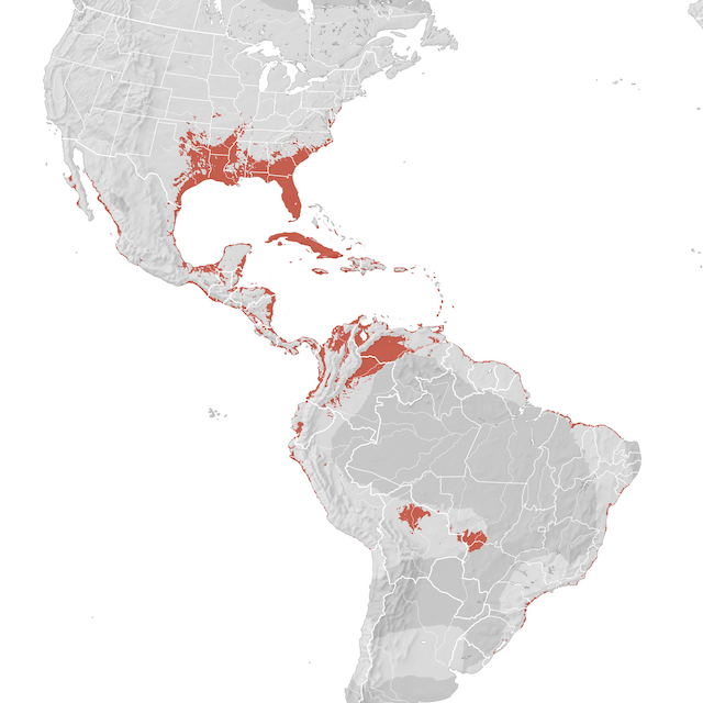 Mappa di distribuzione