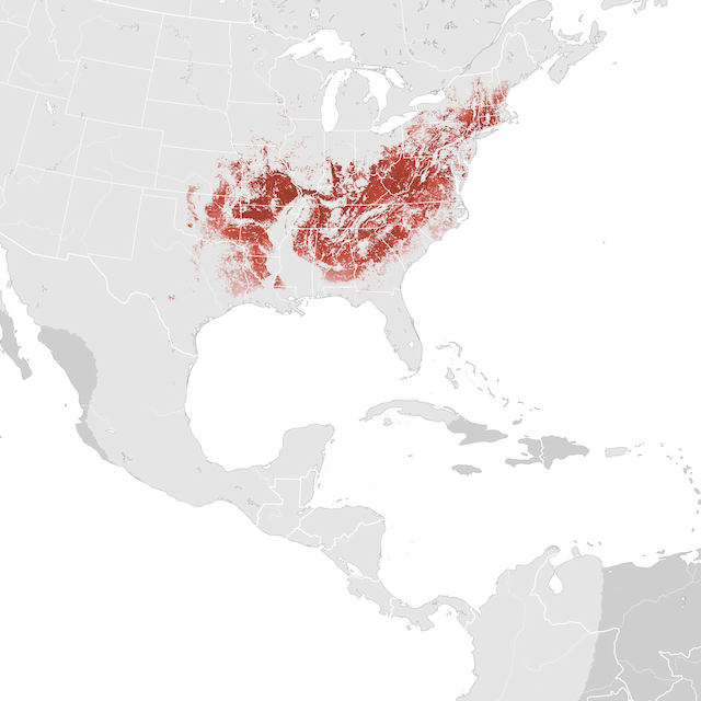 Abundance Map