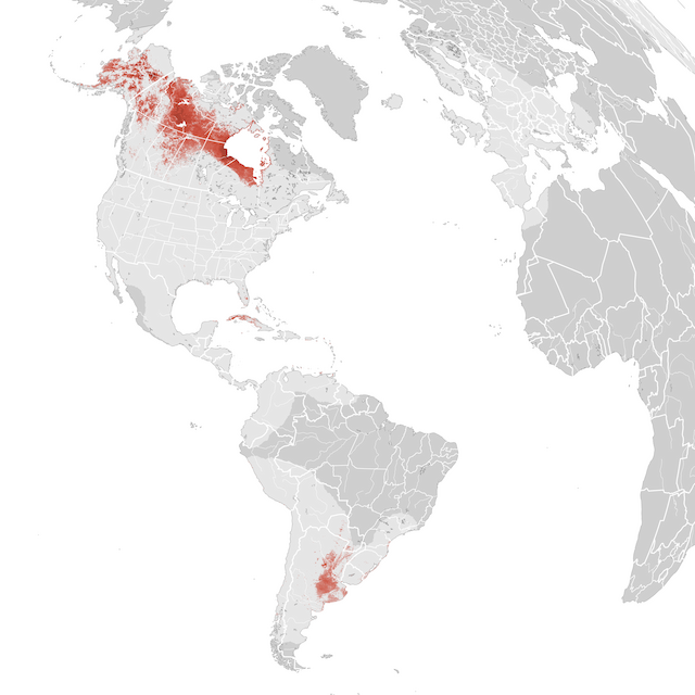 Mappa numerosità