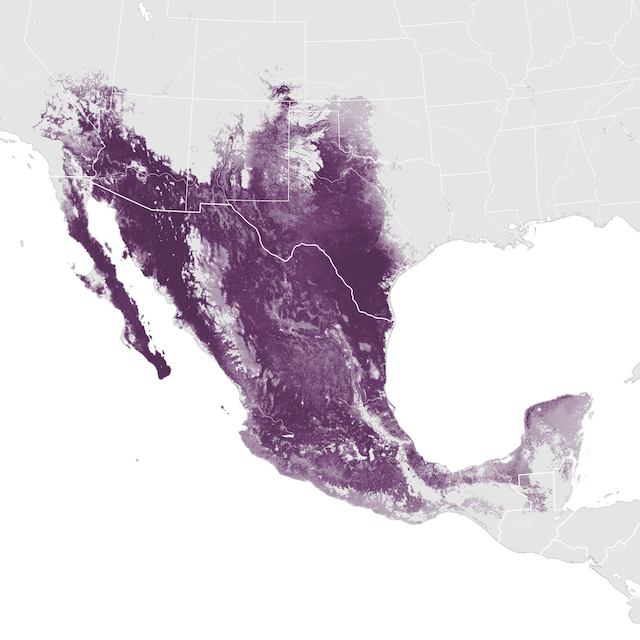 Ugaritasun mapa