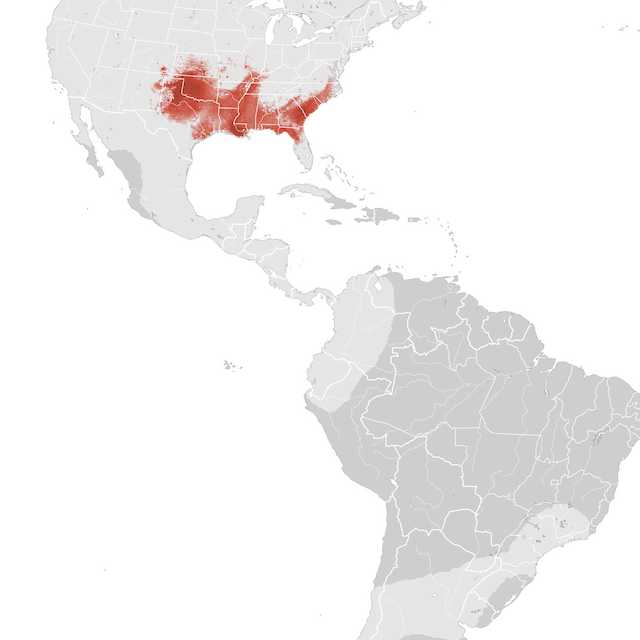 Ugaritasun mapa