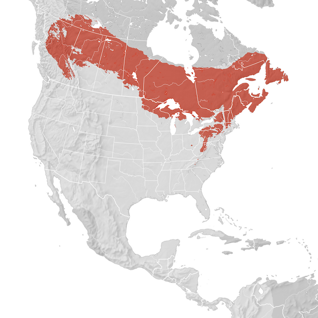 Carte de distribution