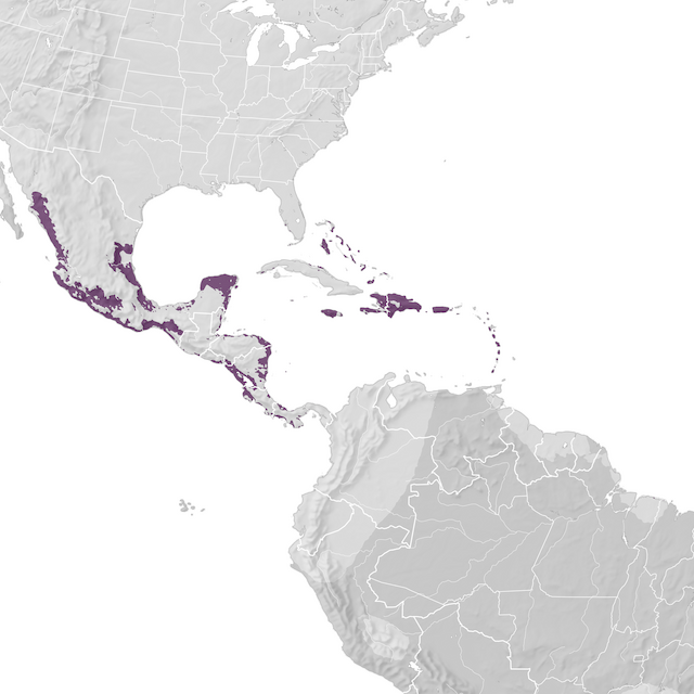 Mappa di distribuzione