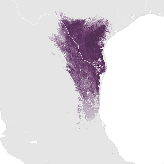 Abundance Map